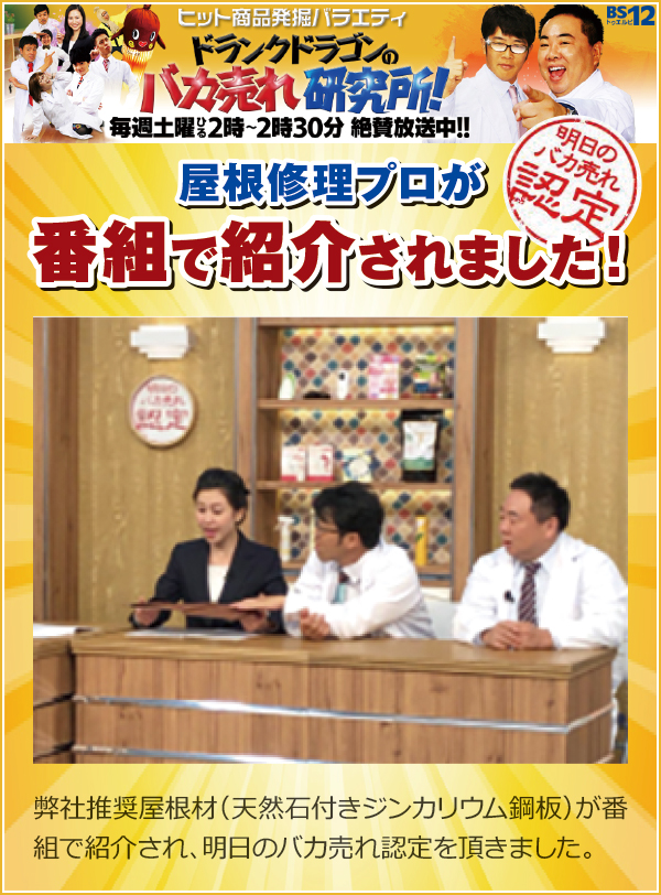 バカ売れ研究所 バカ売れ研究所